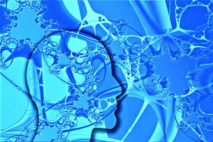 开云体育app-中国足球未来发展规划不明朗,中国足球发展方向 第3张